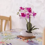 F1 Massif Du Canigou Apartament *