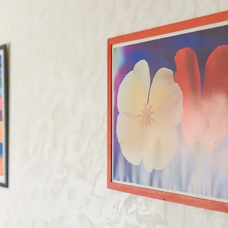 Apartment F1 Massif Du Canigou *